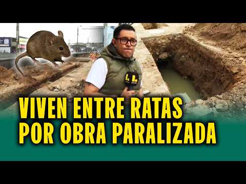 Desagüe queda al descubierto por obra en pista: Vecinos denuncian olor insoportable y ratas grandes