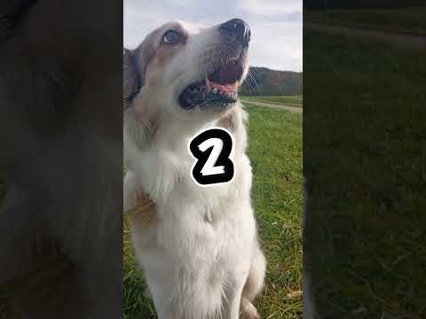 Welches Bild ist am schönsten?🤩