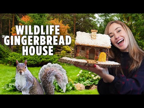 We Tried Making a Wildlife Gingerbread House | DIY Outdoor Decor | Allrecipes