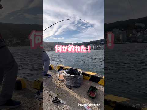 熱海 釣り キレイな夕陽😍#熱海#釣り#海釣り#fishing#海#魚#魚釣り#ボラ#チヌ#クロダイ#黒鯛#ダンゴ釣り#メジナ#綺麗な夕陽