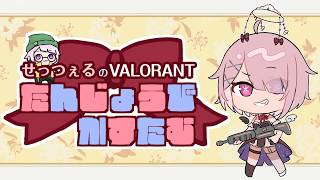 【 VALORANT 】 せっつぇる誕生日記念VALORANTカスタム #せつ誕カスタム  【 Vtuber せっつぇる 】