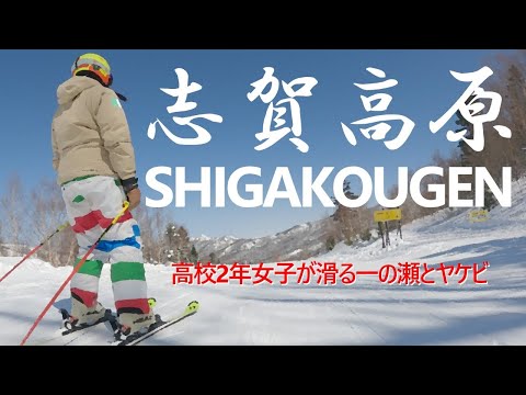 177. シャバシャバ雪なんてイヤだ！まだまだハイシーズンな志賀高原はトップシーズン並みの雪質 標高の高いスキー場はやっぱり神だ！
