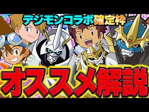 【最強】デジモンコラボ確定枠オススメ解説！必須キャラは○体だけ！絶対に逃すな！！【パズドラ】