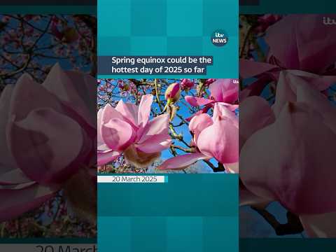 Spring equinox may be the hottest day of 2025 so far, with temperatures reaching up to 21C #itvnews