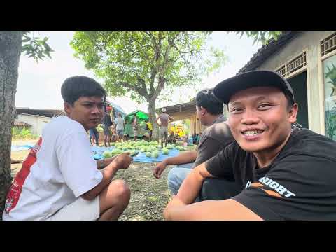 BRO KETOK’E FULL TEAM WAYAHE TAMPIL DEH 🤭🤣🔥