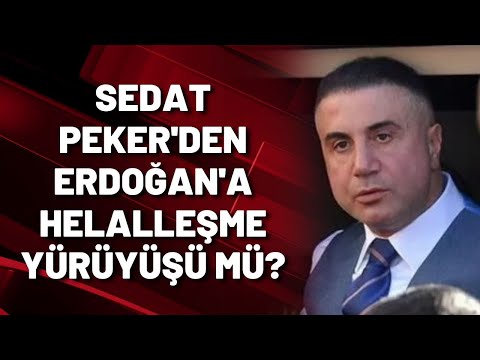 SEDAT PEKER'DEN ERDOĞAN'A HELALLEŞME YÜRÜYÜŞÜ MÜ?