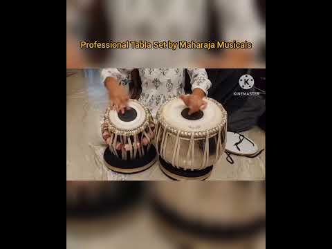 ambience sound professional tabla set