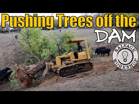 The Pond is REALLY Taking Shape & The Old Dozer is FINALLY Running GREAT! ~ Cat D3 Part 12