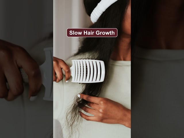 Your Hair Speaks Volumes Are You Listening? ✨

Have you noticed your hair looking dull, shedding more, growing slow, or battling persistent dandruff lately?

It might be more than just a “bad hair day”—your hair could be trying to tell you something about what’s going on within your body.

🚥 Dull hair? It may be a sign you’re low on Omega-3s.
✅ Try adding chia seeds, flaxseed, wild-caught fish, and walnuts to your diet.

🚥 Slow growth or thinning? Your body might need a boost of Protein.
✅ Foods like eggs, chicken, yogurt, and legumes can help nourish from within.

🚥 Dandruff and flakes? It’s often a hint you’re missing Zinc or B6.
✅ Try adding pistachios, chickpeas, and sweet potato to your plate.

🚥 Excess shedding? Your body may be low on Iron or B12.
✅ Foods rich in these nutrients — like dark leafy veggies, meats, fortified foods, and almonds — can make a huge difference.

Your hair’s health starts from the inside out!
Instead of just addressing it externally, listen to what it’s trying to tell you.

Save this reel and check back when you notice a change in your hair — it might be a key to understanding your health. 🌟


Disclaimer

The content provided on this page is purely for informational purposes. The reel does not aim to provide any kind of diagnosis, medical advice, or treatment prescriptions. It is important to consult a licensed Dermatologist before undergoing any of these treatments.

Dr Suruchi Puri (Hair & Dermatology Clinic)
📍B-1/37, First Floor, Janakpuri, New Delhi 58

👇Book your appointment
📞98680 80340



#HealthyHair #NourishFromWithin #HairSignals #HealthyBodyHealthyHair #HairAndNutrition #BehindYourHair #HealthyHairTips #HairGoals #FitnessForYourHair #HairHealthMatters #BeautyFromInsideOut #HairHealth #HealthyBodyHealthyHair