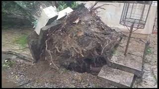 Município de Camaquã é acordado com fortes rajadas de vento pelo ciclone e quedas de árvores