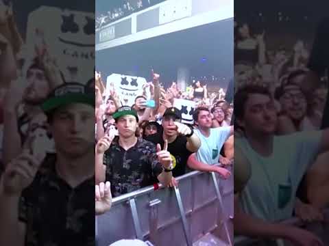 It’s 2016 and the mannequin challenge is peak internet