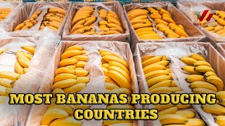 Top 10 Bananas Producing Countries in the World | World  Index |