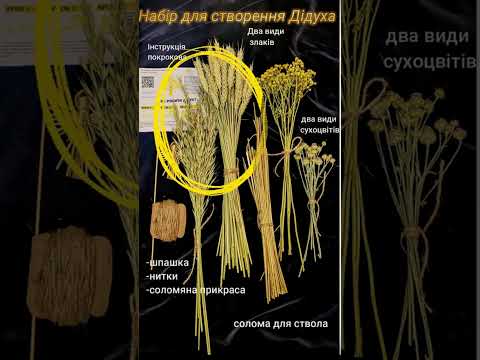 🎄 ВСТИГНІТЬ ПІДГОТУВАТИСЯ ДО РІЗДВА! ✨#@dianaant0