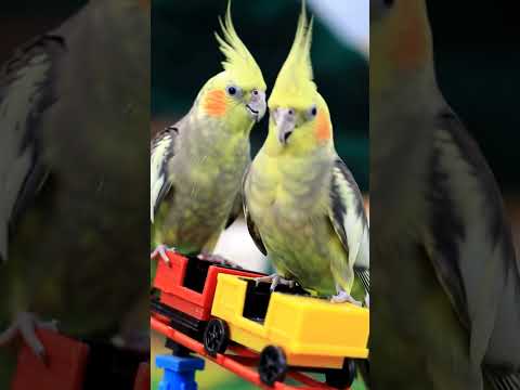 😇😇😇🥰🥰🥰#highlights