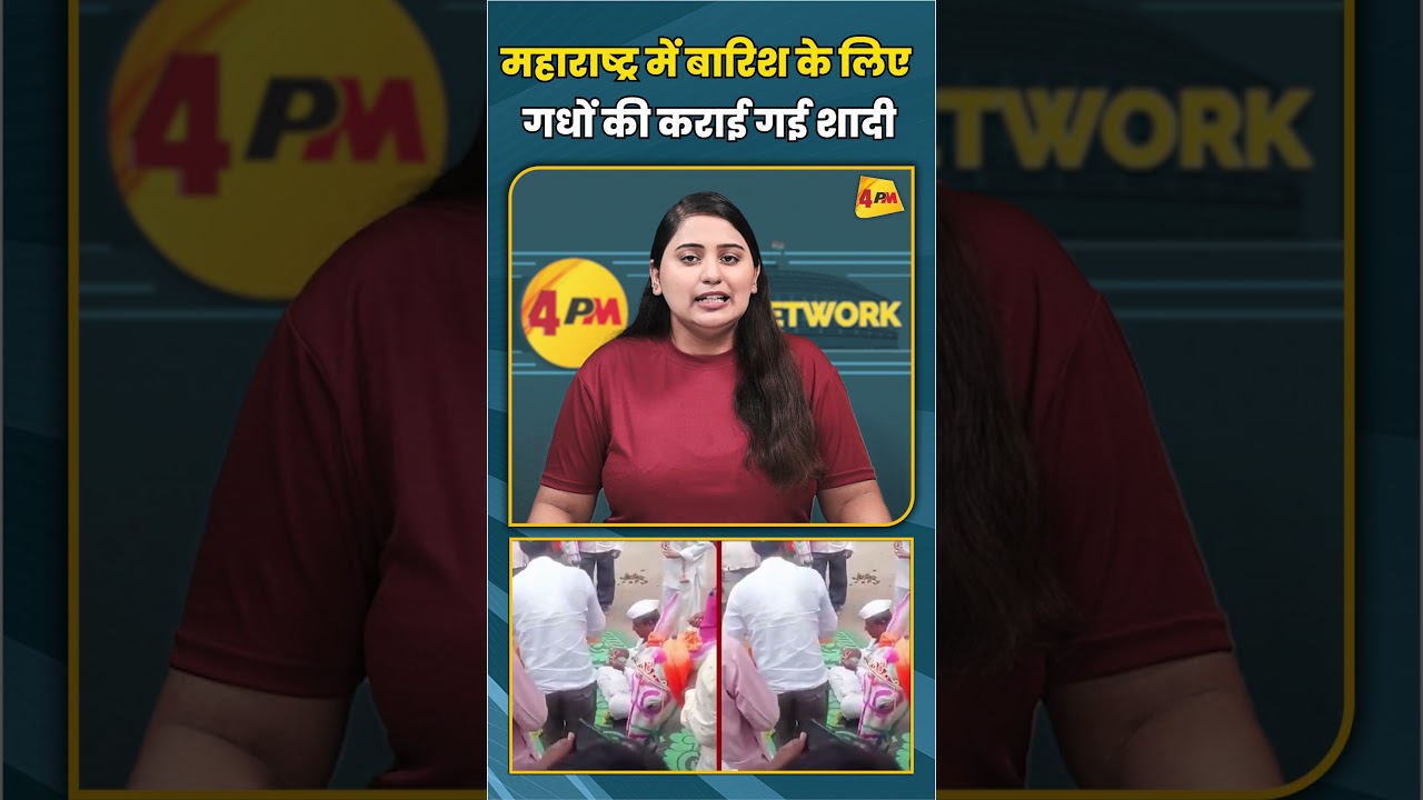 महाराष्ट्र में बारिश के लिए गधों की कराई गई शादी #shortvideo #shorts