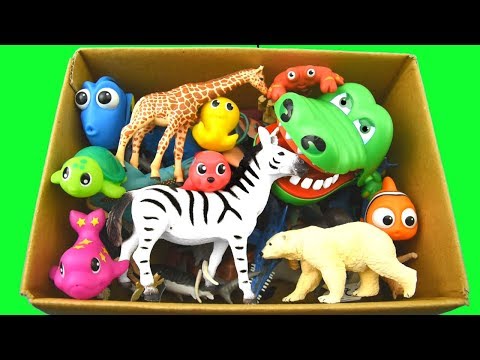 Learn Colors With Wild Animals in a Box and Shark Toys For Kids