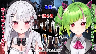 【DBD】初心者だけど鬼ごっこ始めます！w/Δ.DELUTAYA【#花宮莉歌/#りかたや】