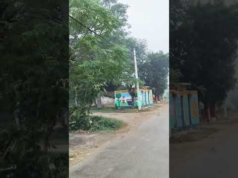 हमें तो पेड़ों की छांव पसंद है 🌿🌴#gaonkizindagi #villagelife