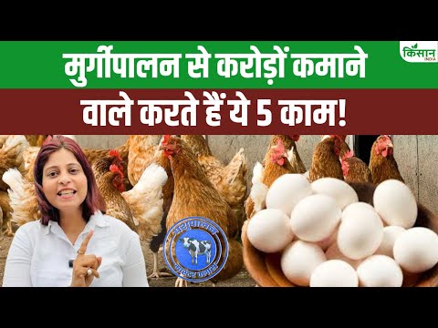 मुर्गीपालन से रोज अंडा और तगड़ी कमाई चाहिए? तो ये फार्मिंग फॉर्मूला अपना सकते हैं!। Poultry Farming
