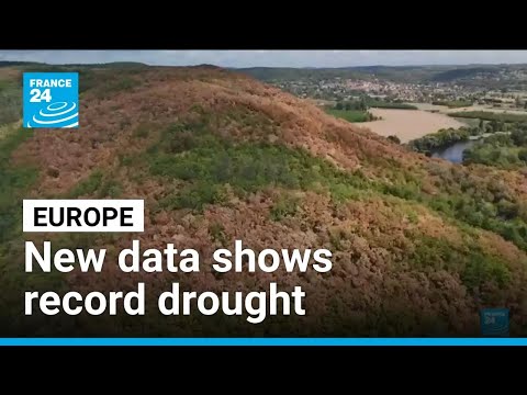 New data shows record drought in Europe • FRANCE 24 English