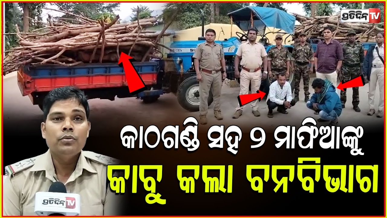 ମାଧପୁର ମୁଣ୍ଡେଶ୍ୱର ଜଙ୍ଗଲ ରୁ କାଠଗଣ୍ଡି ସହ ୨ ଗିରଫ। illegal wood tractor seized by forest dept,Boudh