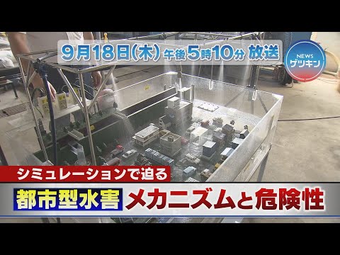 【番宣】９月１８日（木）NEWSゲツキン