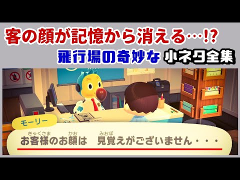 【あつ森】客の顔が記憶から消える……！？怖すぎる奇妙なセリフがヤバすぎる……あつ森の「飛行場」に隠れた細かすぎる小ネタ集！【あつまれ どうぶつの森】@レウンGameTV