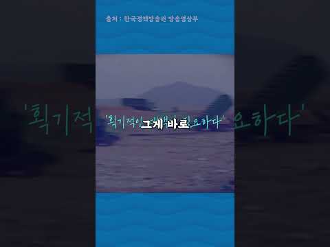 1995년 1월 1일 한국에 생긴 일 (feat.국뽕)