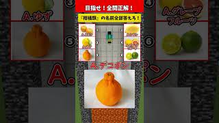 【クイズ】目指せ全問正解！マグマに飲まれるな！【柑橘類編】#クイズ #minecraft #マイクラ  #マインクラフト