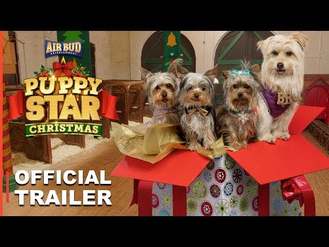 Puppy Star Christmas'