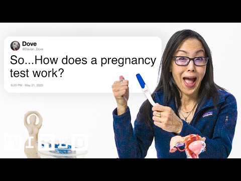 Кога се најголеми шансите за зачнување, како работат тестовите за бременост – експерт за плодност одговара на често поставувани прашања