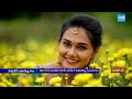 Pandaga Vela Day 2 : Bathukamma 2025 Special | Significance of Bathukamma Celebrations |@SakshiTV  - 19:57 min - News - Video