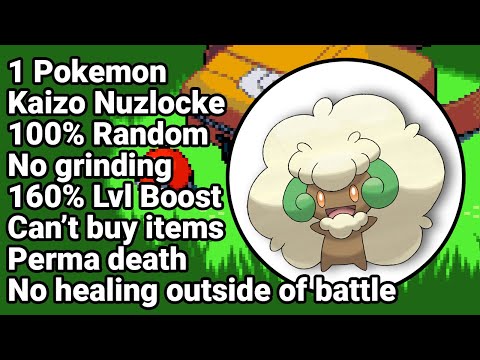 The Hardest Pokemon Challenge! Pokemon Emerald Kaizo Ironmon