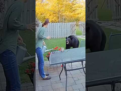 "NOT MY MOM!" Pets Team Up to Fight Off Massive Bear 🤯💪