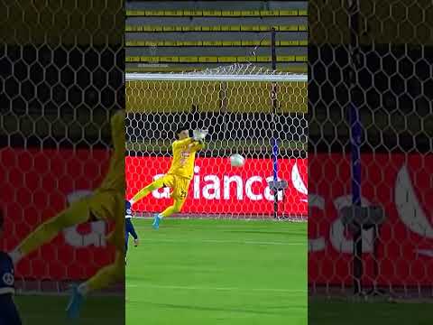 ¡VISCARRA ES CLAVE! 👏 CONMEBOL #SUDAMERICANA #LAGRANCONQUISTA