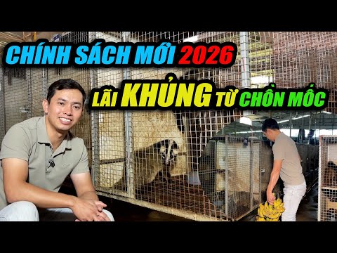 CHÍNH SÁCH MỚI 2026 - LÃI KHỦNG TỪ CHỒN MỐC | CHANNUOI.NET