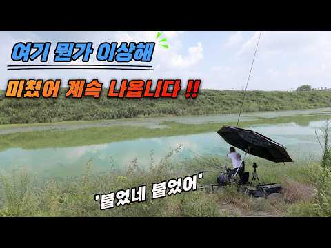 여기 뭔가 이상해~ 한번 붙으면 무섭다는 전설의 <strong>낚시터</strong>