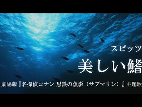 「名探偵コナン 黒鉄の魚影」主題歌 美しい鰭 歌ってみた