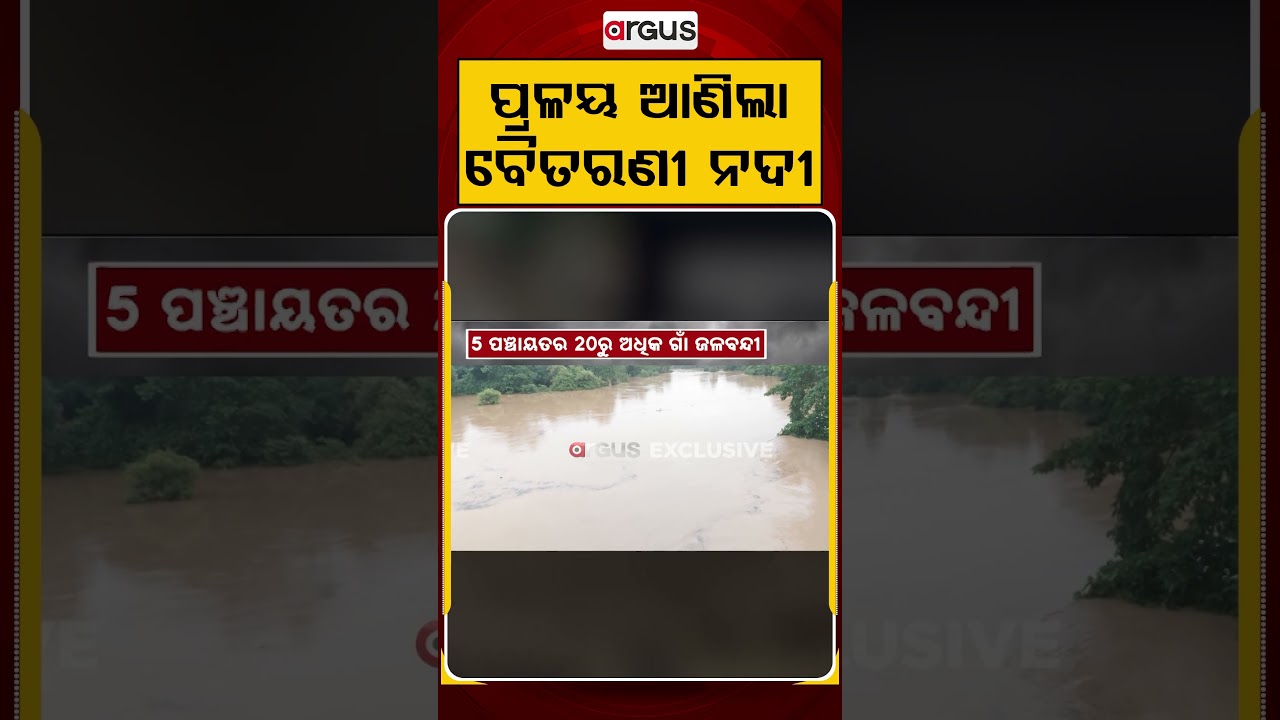 ପ୍ରଳୟ ଆଣିଲା ବୈତରଣୀ ନଦୀ | Baitarani Flood Havoc in Dhamnagar & Jajpur | Argus News