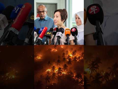 3 more companies issued notices under Transboundary Haze Pollution Act