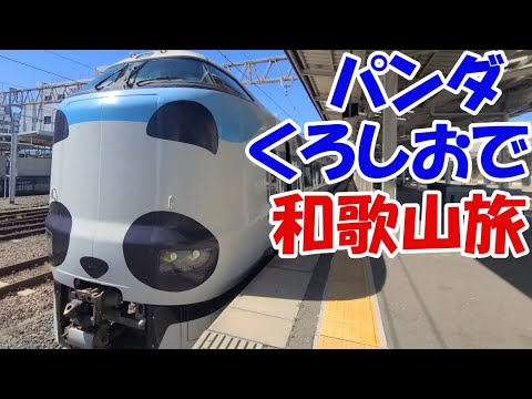パンダくろしおで和歌山電鐵へ【和歌山&万博旅①ゆっくまーの旅日記】