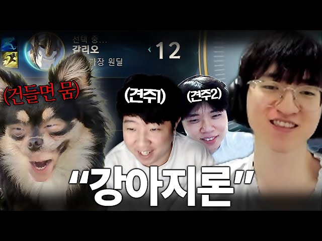 "강아지한테 묻진 않잖아요"