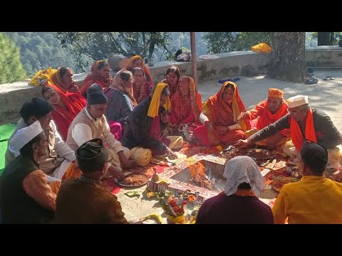 एकादशी पर तुलसी मैया का बहुत सुंदर भजन 🌹🙏भक्ति में लीन हो जाइए,