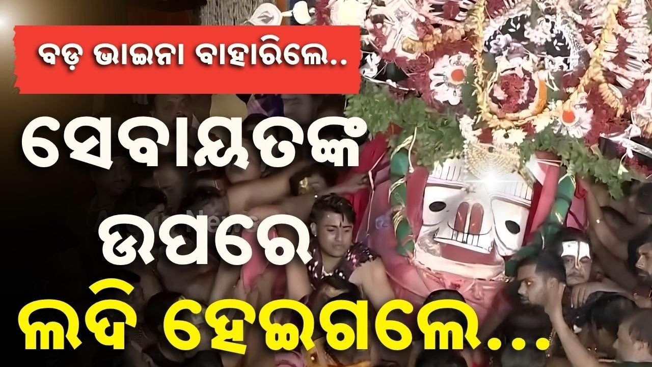 ସେବାୟତଙ୍କ ଉପରେ ଲଦି ହେଇ ହେଇ ଯାଉଛି ବଳିଆ | Niladri Bije | Lord Balabhadra | Rath Yatra | Argus News