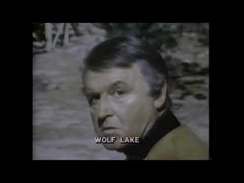Wolf Lake'