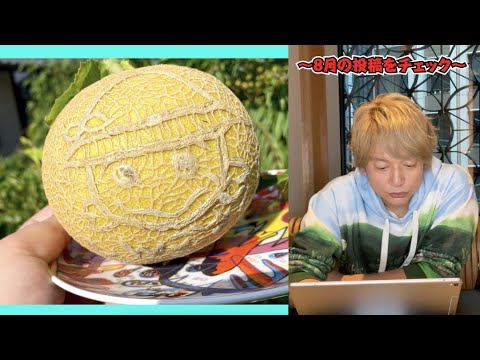【2020年8月】月間ぷっくり大賞〜Pukkuri Of The Month〜