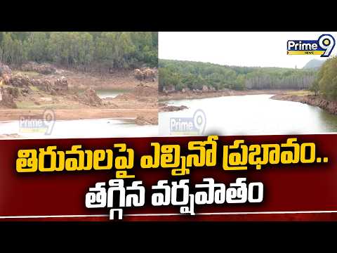 El Nino Effect On Tirupati | తిరుమలపై ఎల్నినో ప్రభావం.. తగ్గిన వర్షపాతం | Prime9 News
