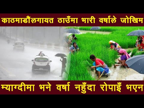 काठमाडौंलगायत ठाउँमा भारी वर्षाले जोखिम, म्याग्दीमा भने वर्षा नहुँदा रोपाइँ भएन !
