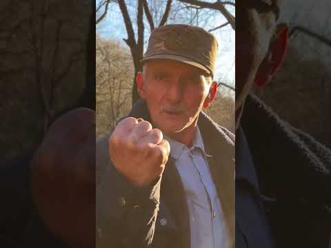 Roma dayının söhbətlərinə kim baxıb? 😉