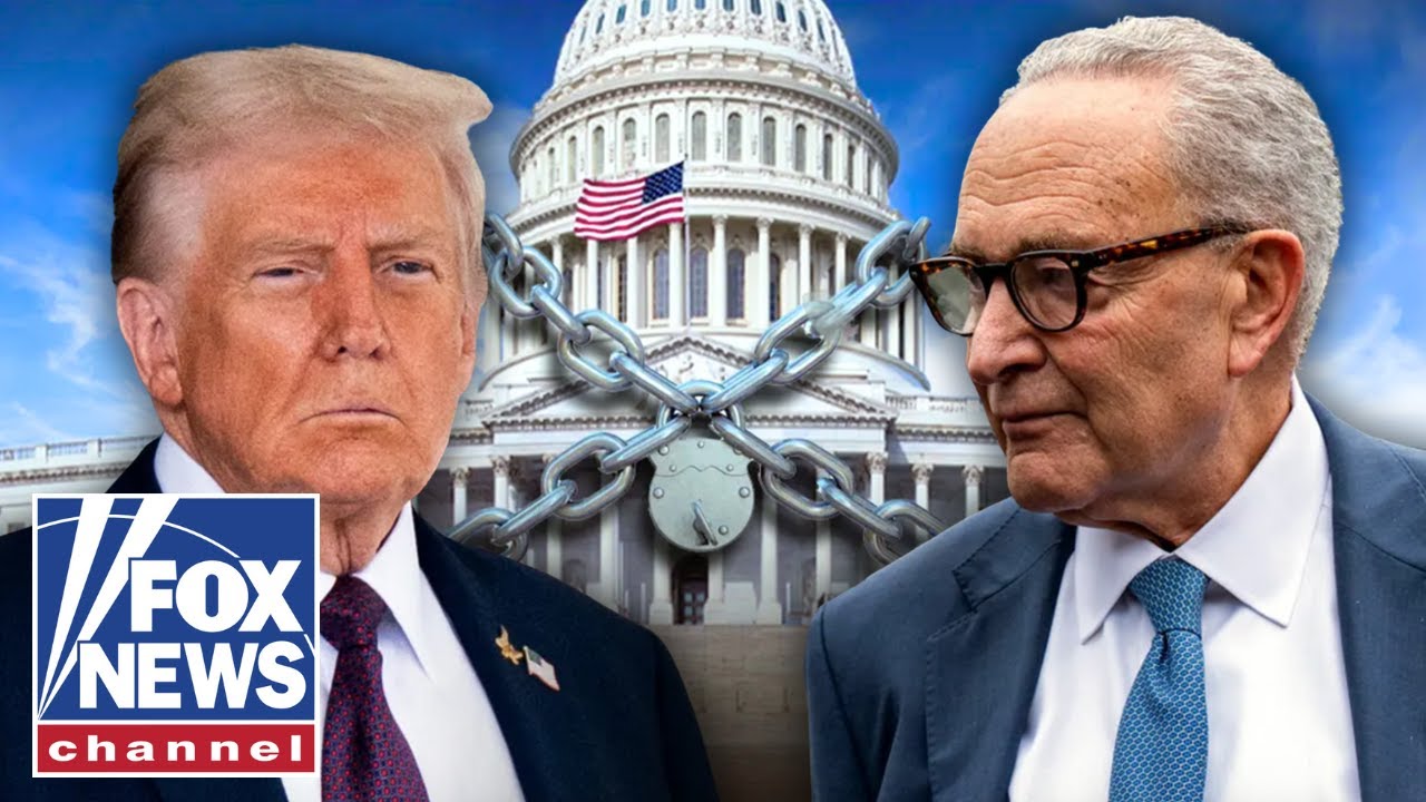 'HOLDING US HOSTAGE!': Trump sends MAJOR message to Schumer and Senate Dems during shutdown